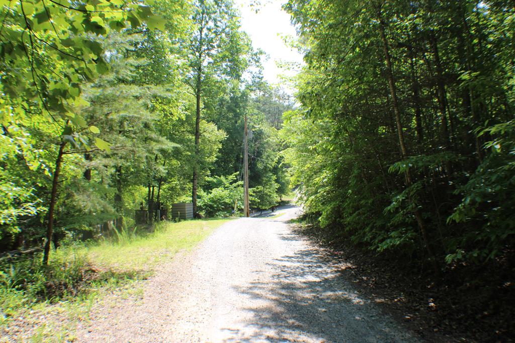 Lot #18 Sunset Road Epworth, GA 30541 - Photo 15 of 15