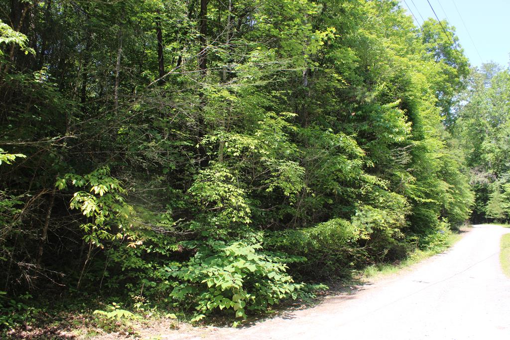 Lot #18 Sunset Road Epworth, GA 30541 - Photo 4 of 15