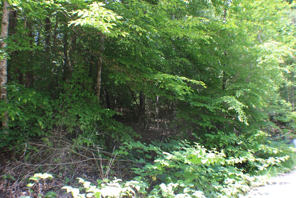 Lot #18 Sunset Road Epworth, GA 30541 - Photo 5 of 15