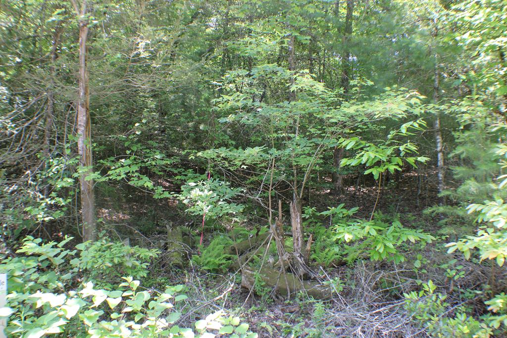 Lot #18 Sunset Road Epworth, GA 30541 - Photo 6 of 15