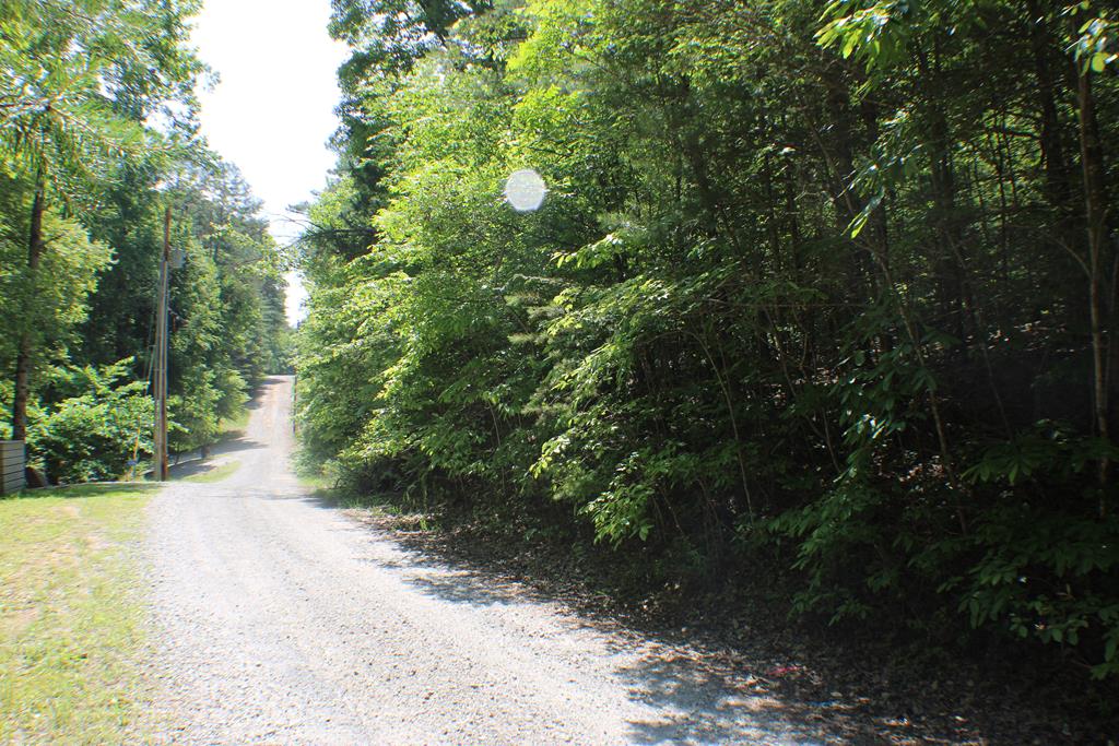Lot #18 Sunset Road Epworth, GA 30541 - Photo 7 of 15