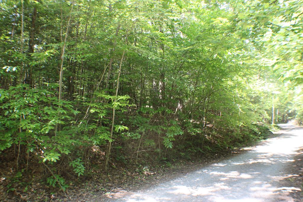 Lot #18 Sunset Road Epworth, GA 30541 - Photo 8 of 15