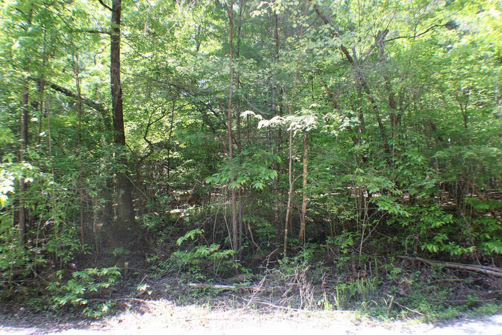 Lot #18 Sunset Road Epworth, GA 30541 - Photo 9 of 15