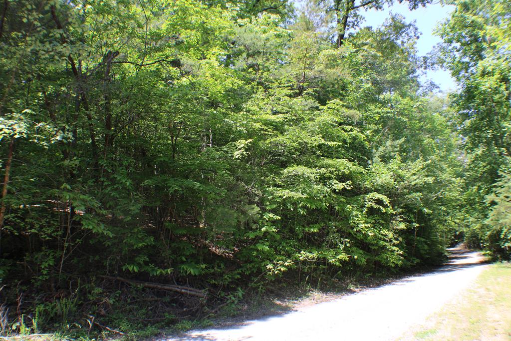 Lot #18 Sunset Road Epworth, GA 30541 - Photo 10 of 15