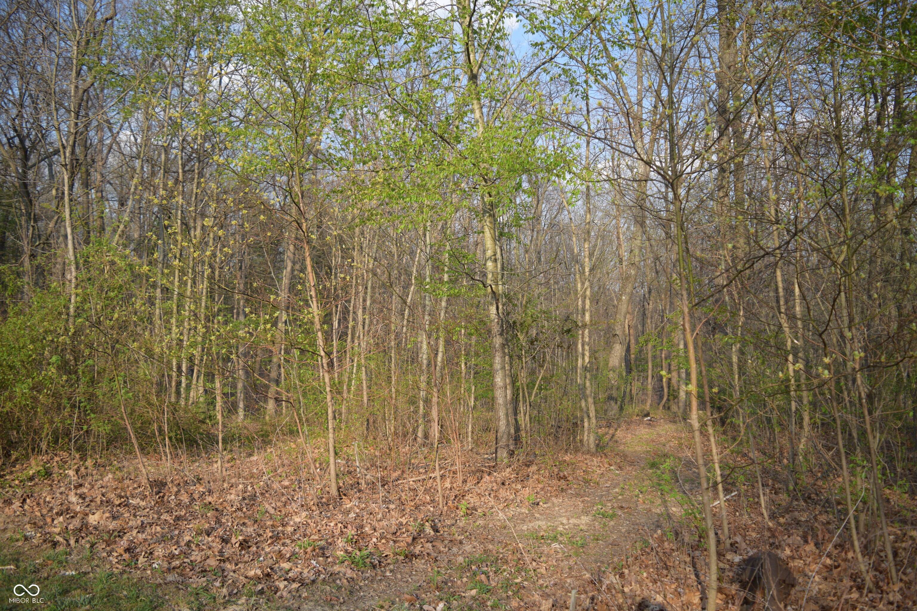 5275 Wilbur Road Martinsville, IN 46151 - Photo 31 of 32