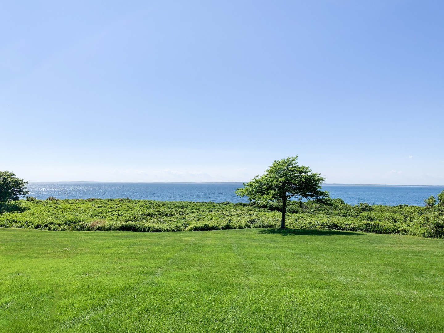 44 Forest Road West Tisbury, MA 02568 - Photo 3 of 31