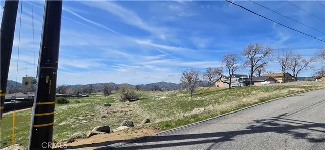 a view of a yard with street