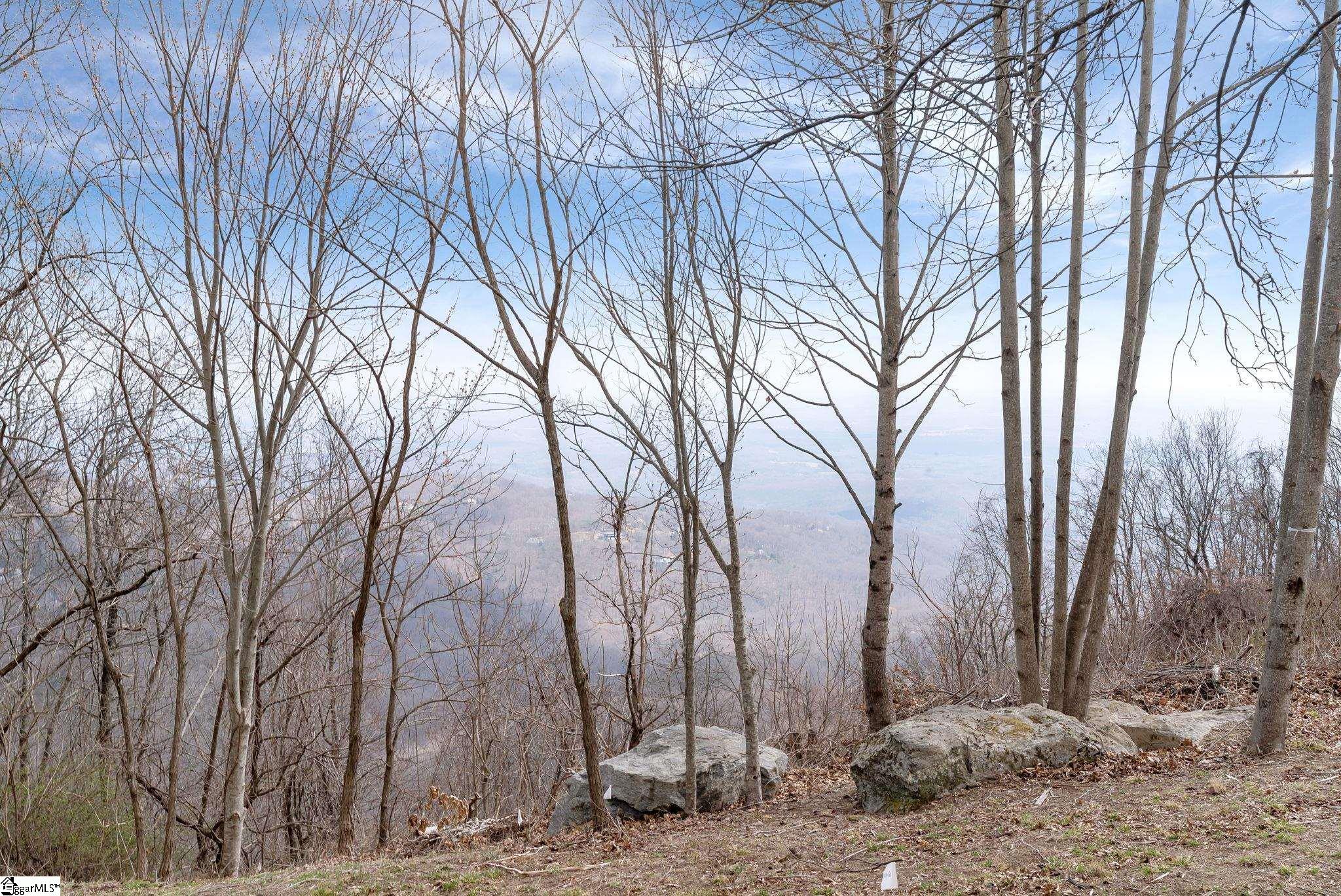 97 The Cliffs Parkway Landrum, SC 29356 - Photo 15 of 18