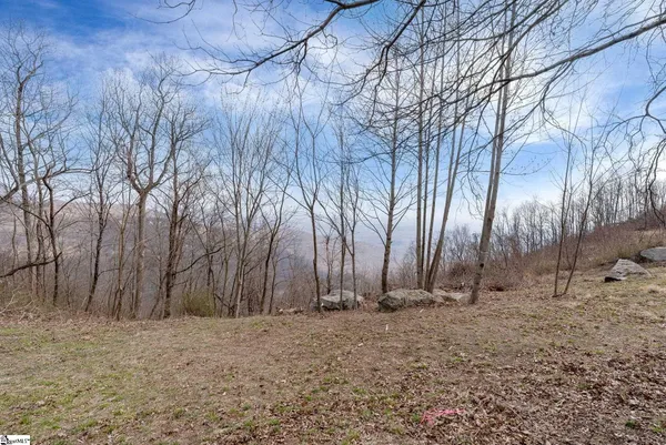 $1,995,000 | 97 The Cliffs Parkway, Landrum, SC 29356