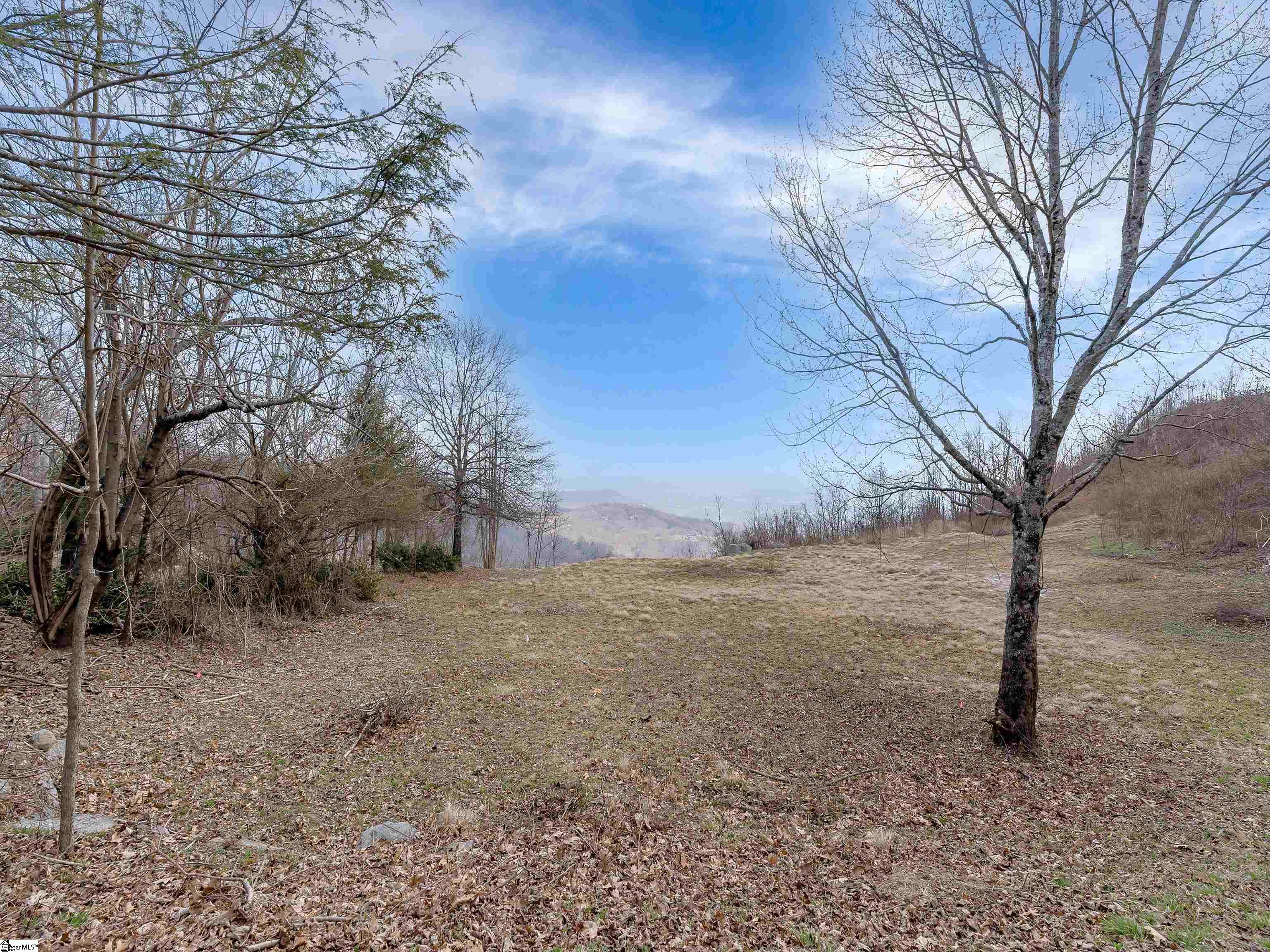 97 The Cliffs Parkway Landrum, SC 29356 - Photo 17 of 18