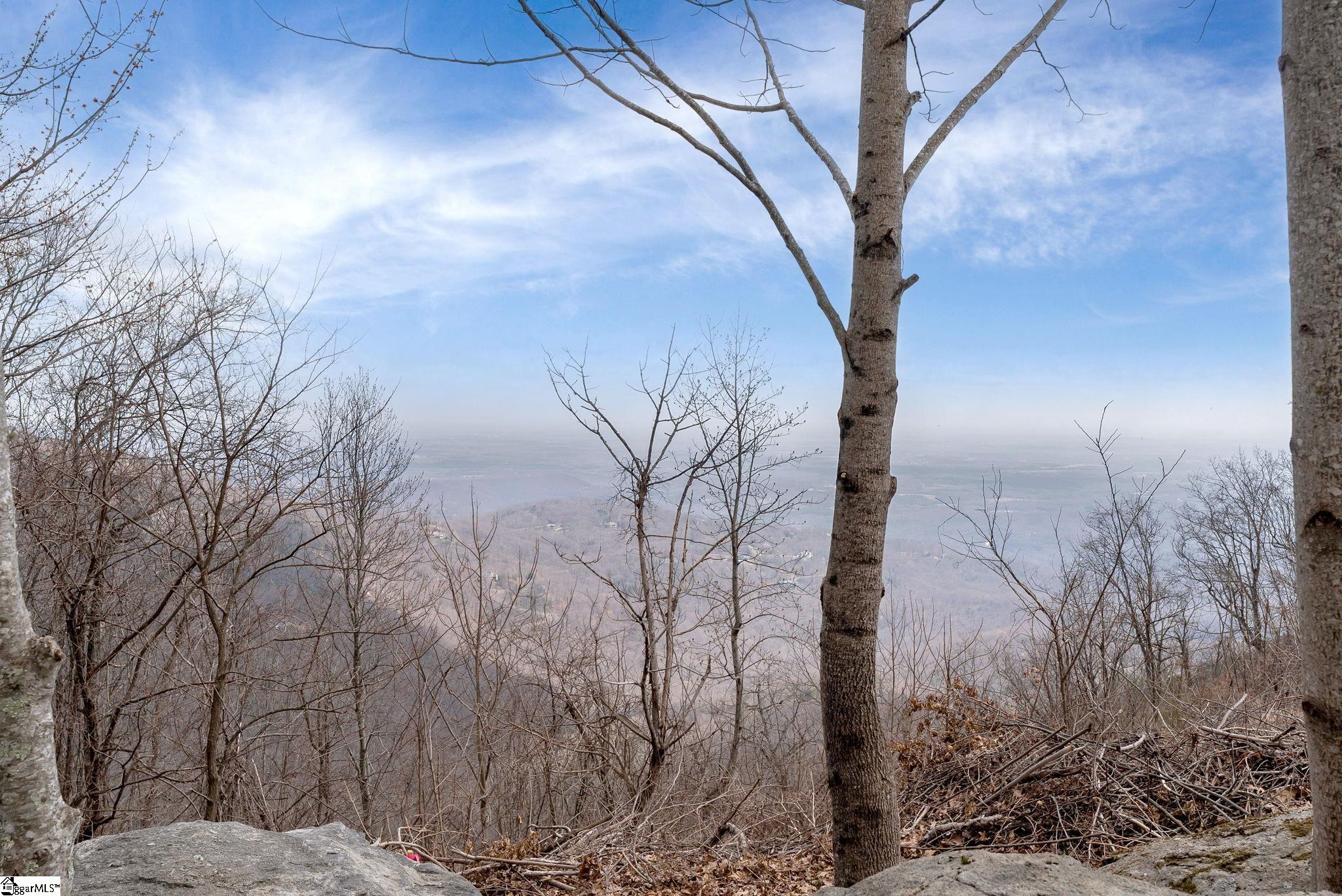 97 The Cliffs Parkway Landrum, SC 29356 - Photo 3 of 18