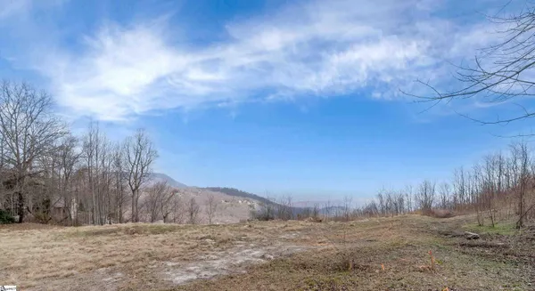 $1,995,000 | 97 The Cliffs Parkway, Landrum, SC 29356