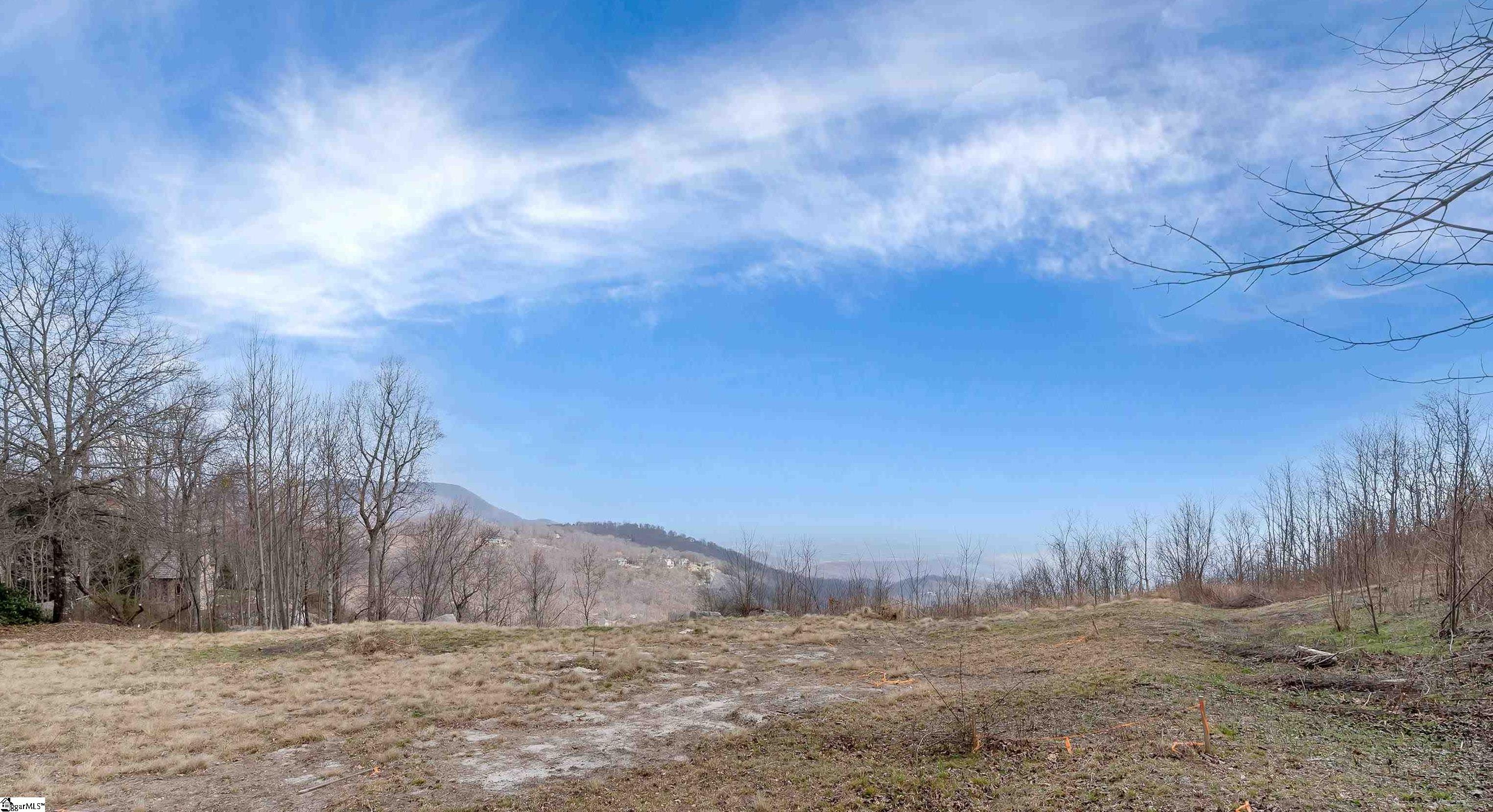 97 The Cliffs Parkway Landrum, SC 29356 - Photo 4 of 18