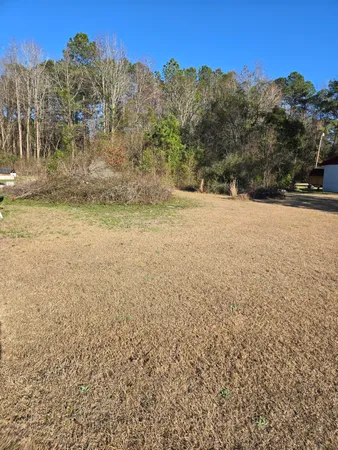$20,000 | 0 Bass Drive, Holly Hill, SC 29059