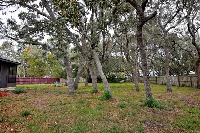 a view of park with trees