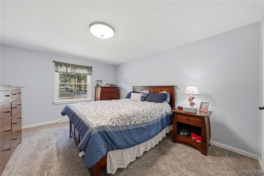 7228 Lower East Hill Road Boston, NY 14033 - Photo 15 of 46 Primary bedroom with walk-in closet and ensuite ba