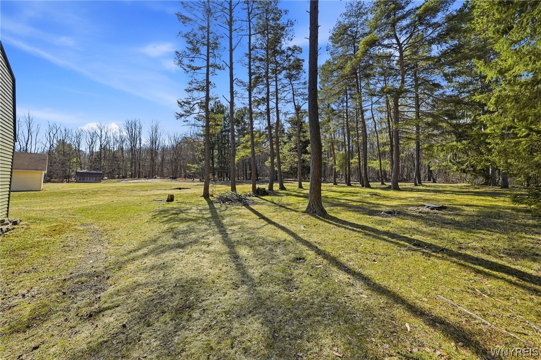 7228 Lower East Hill Road Boston, NY 14033 - Photo 39 of 46 Yard is truly a park-like setting.