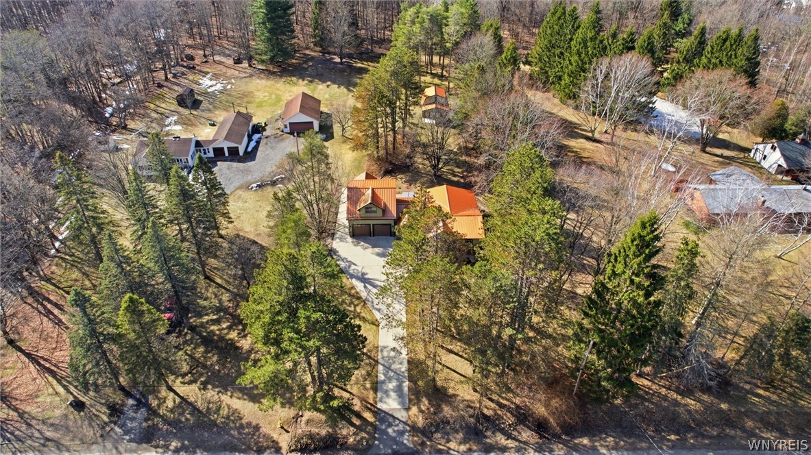 7228 Lower East Hill Road Boston, NY 14033 - Photo 42 of 46