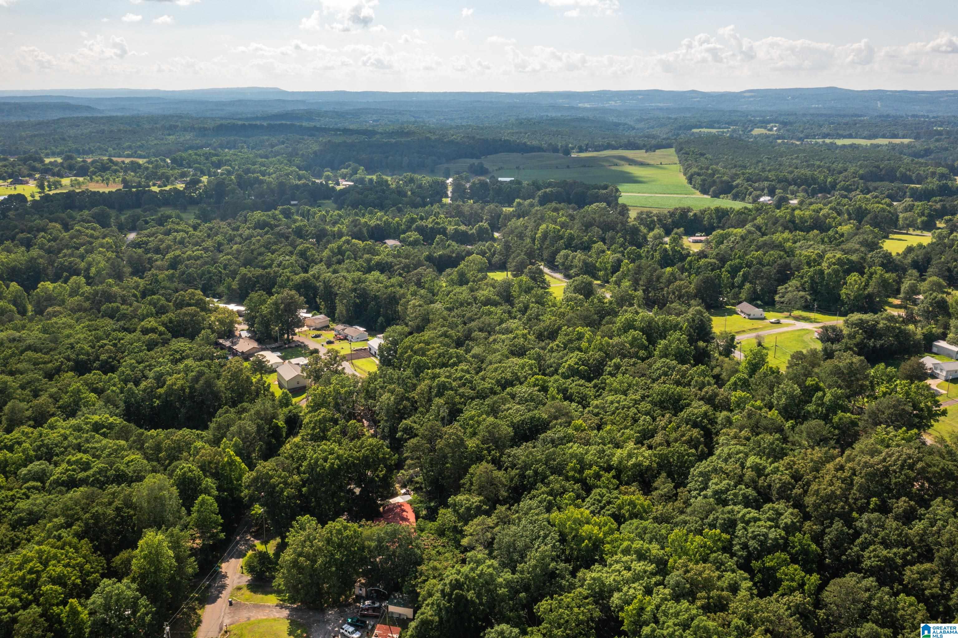 650 Davidson Drive Locust Fork, AL 35097 - Photo 46 of 55
