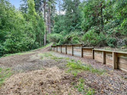 a view of a backyard with trees