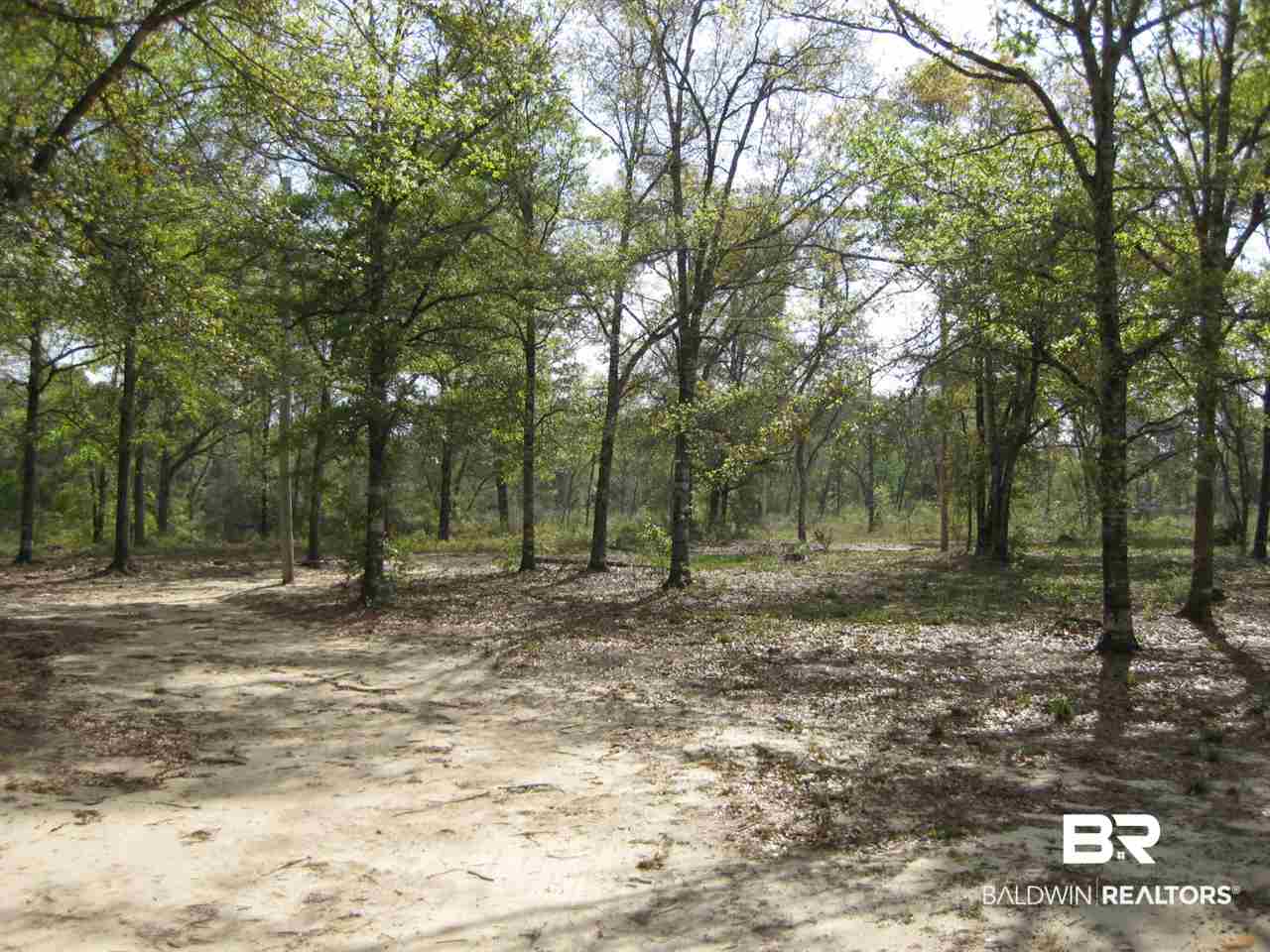14131 County Road 9 Foley, AL 36535 - Photo 4 of 6