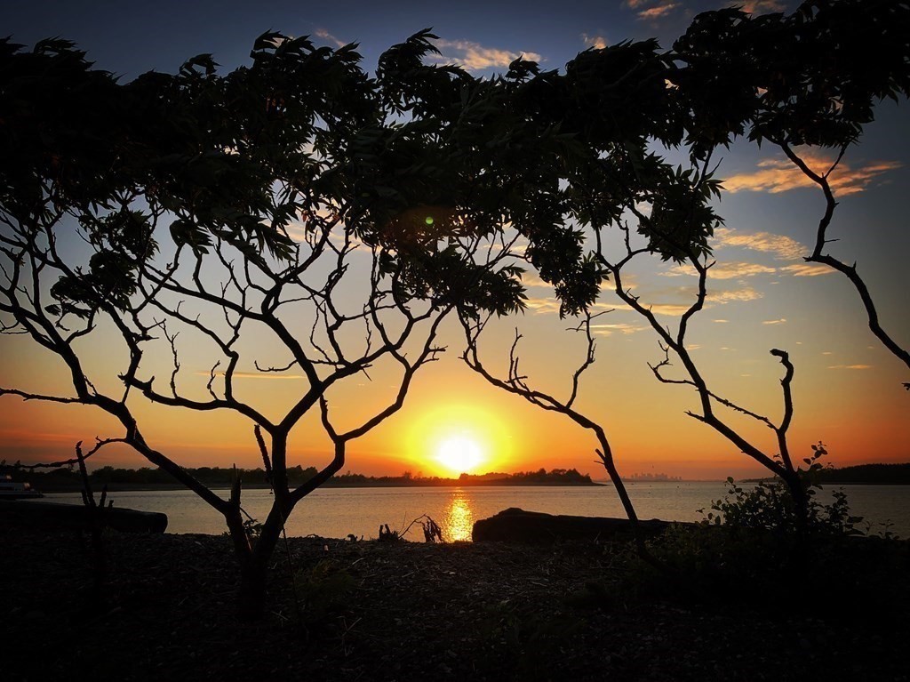 111 Wompatuck Road Hingham, MA 02043 - Photo 18 of 33 a view of a yard