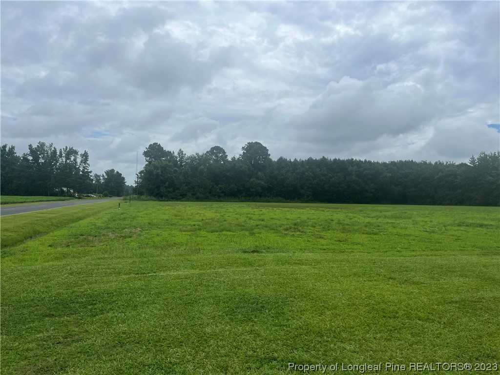 Fire Tower Road Road Orrum, NC 28369 - Photo 1 of 5 a view of a grassy field