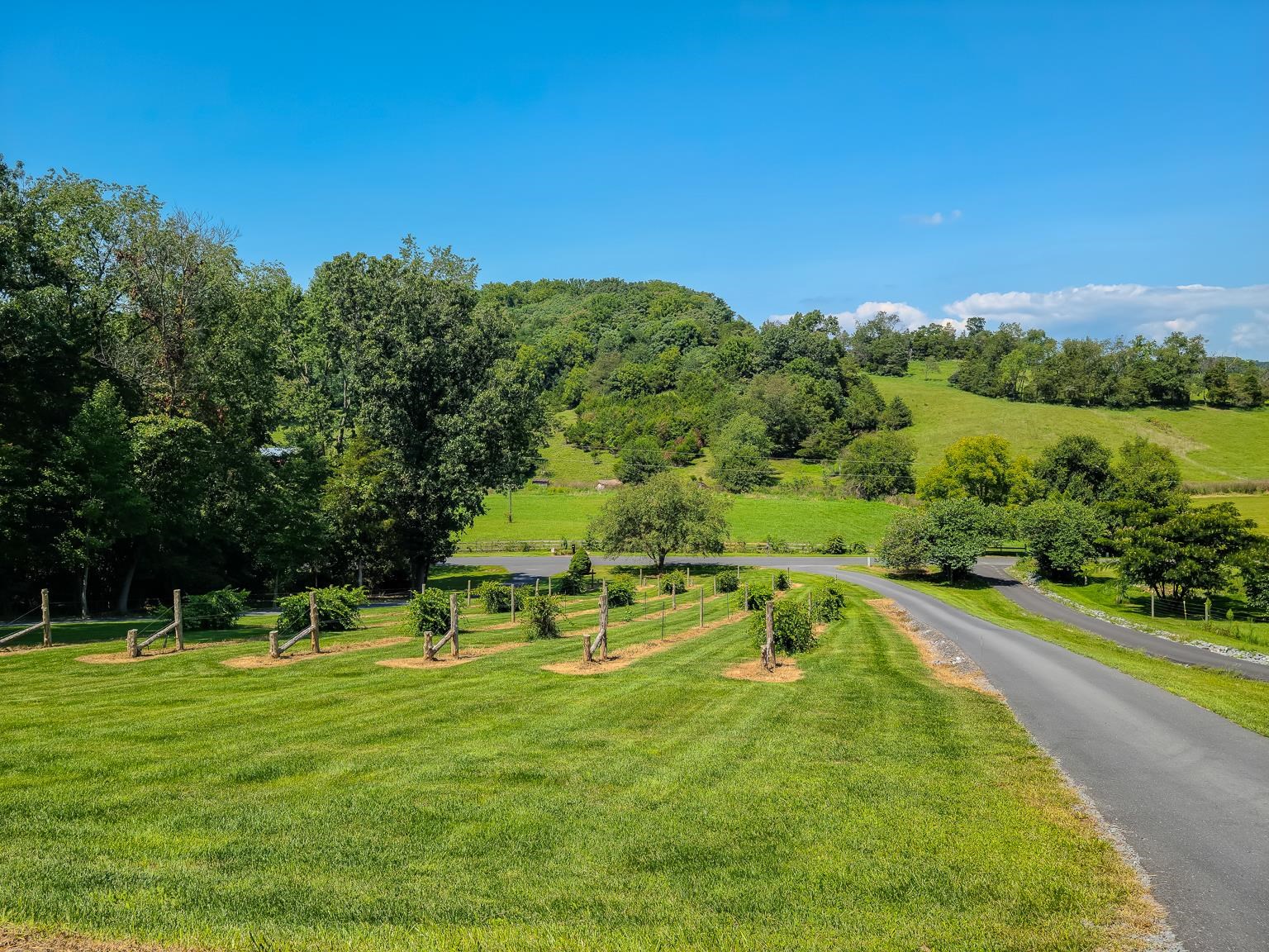 6089 Faughts Road Mount Crawford, VA 22841 - Photo 51 of 68