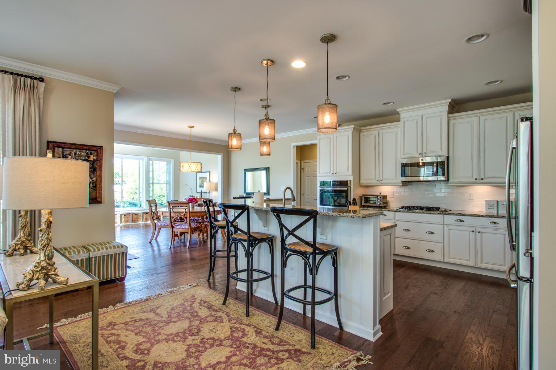 16611 Shoal Road Lewes, DE 19958 - Photo 11 of 60 Gourmet kitchen with stainless appliances