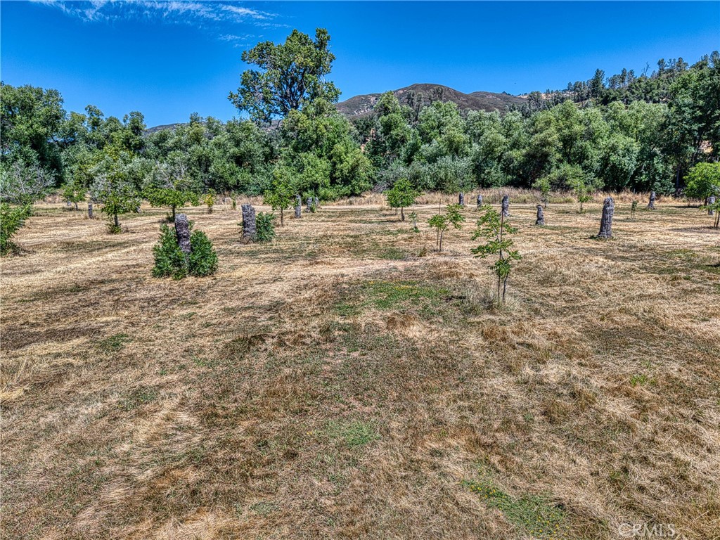 1286 Pitney Lane Upper Lake, CA 95485 - Photo 18 of 31 a view of some trees and bushes