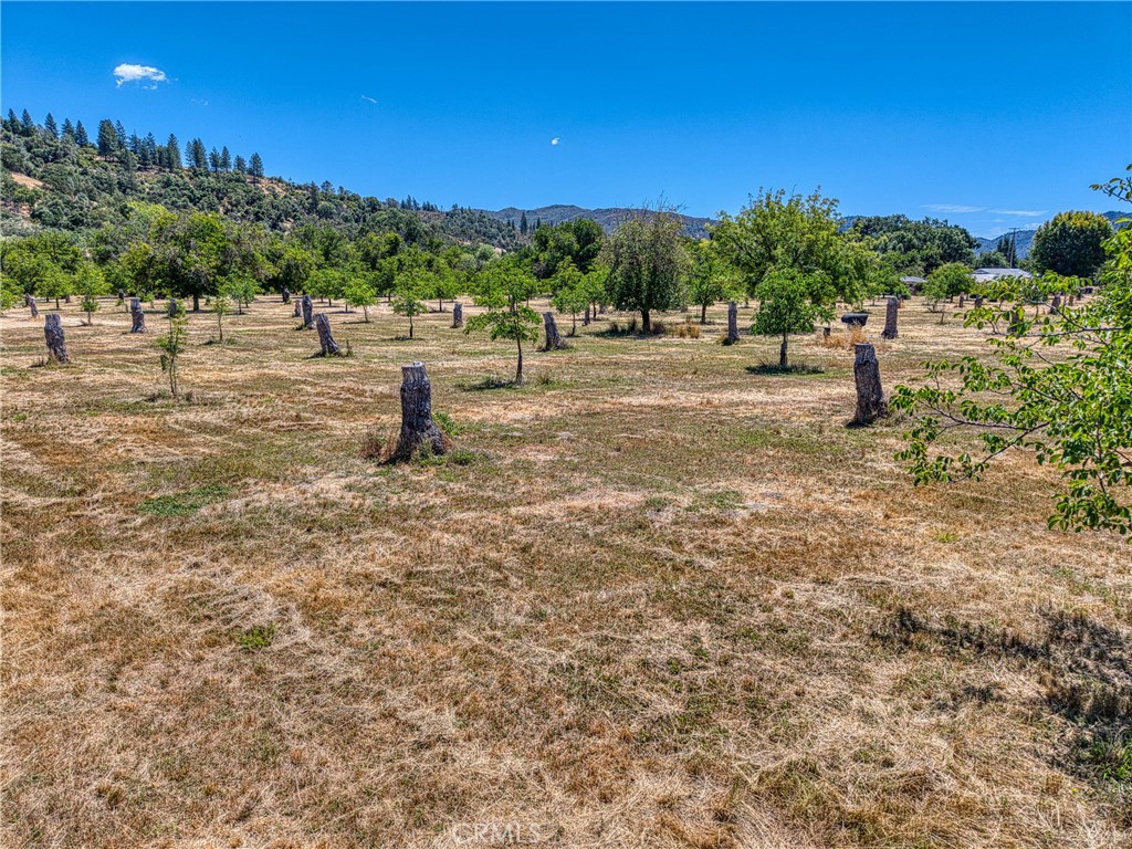 1286 Pitney Lane Upper Lake, CA 95485 - Photo 19 of 31 a view of a park with large trees