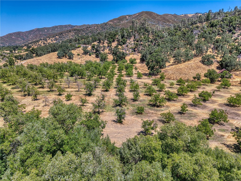 1286 Pitney Lane Upper Lake, CA 95485 - Photo 22 of 31 a view of a city