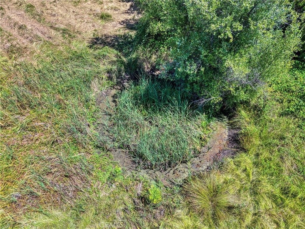 1286 Pitney Lane Upper Lake, CA 95485 - Photo 25 of 31 a view of a lush green forest