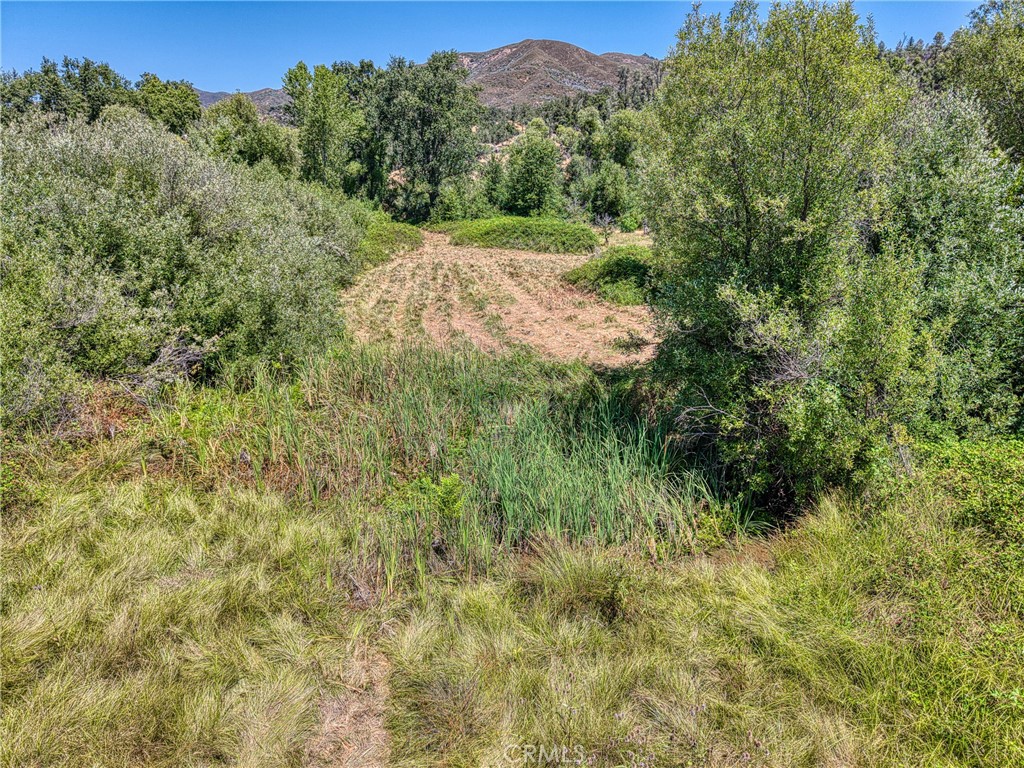 1286 Pitney Lane Upper Lake, CA 95485 - Photo 26 of 31 a view of a lush green forest with trees in the background