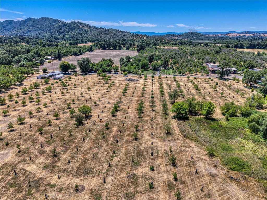1286 Pitney Lane Upper Lake, CA 95485 - Photo 29 of 31 a view of a backyard with green space