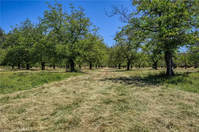 a view of outdoor space with trees all around