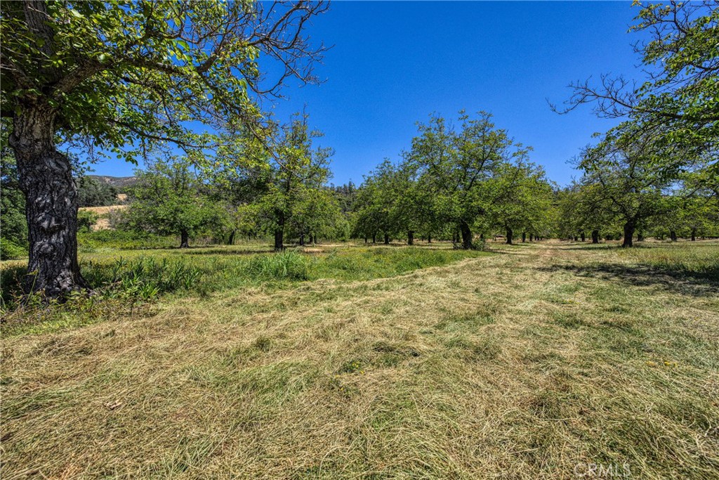 1286 Pitney Lane Upper Lake, CA 95485 - Photo 4 of 31 a view of outdoor space with deck and yard