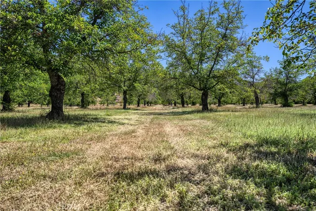 a view of outdoor space with deck and yard