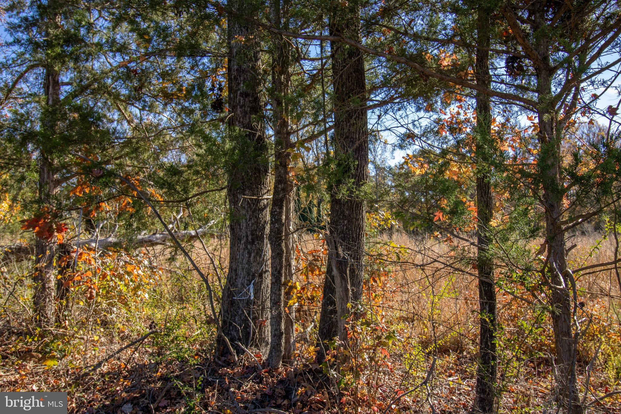 Tbd Piney Grove Road, Unit 21 Alton, VA 24520 - Photo 13 of 19