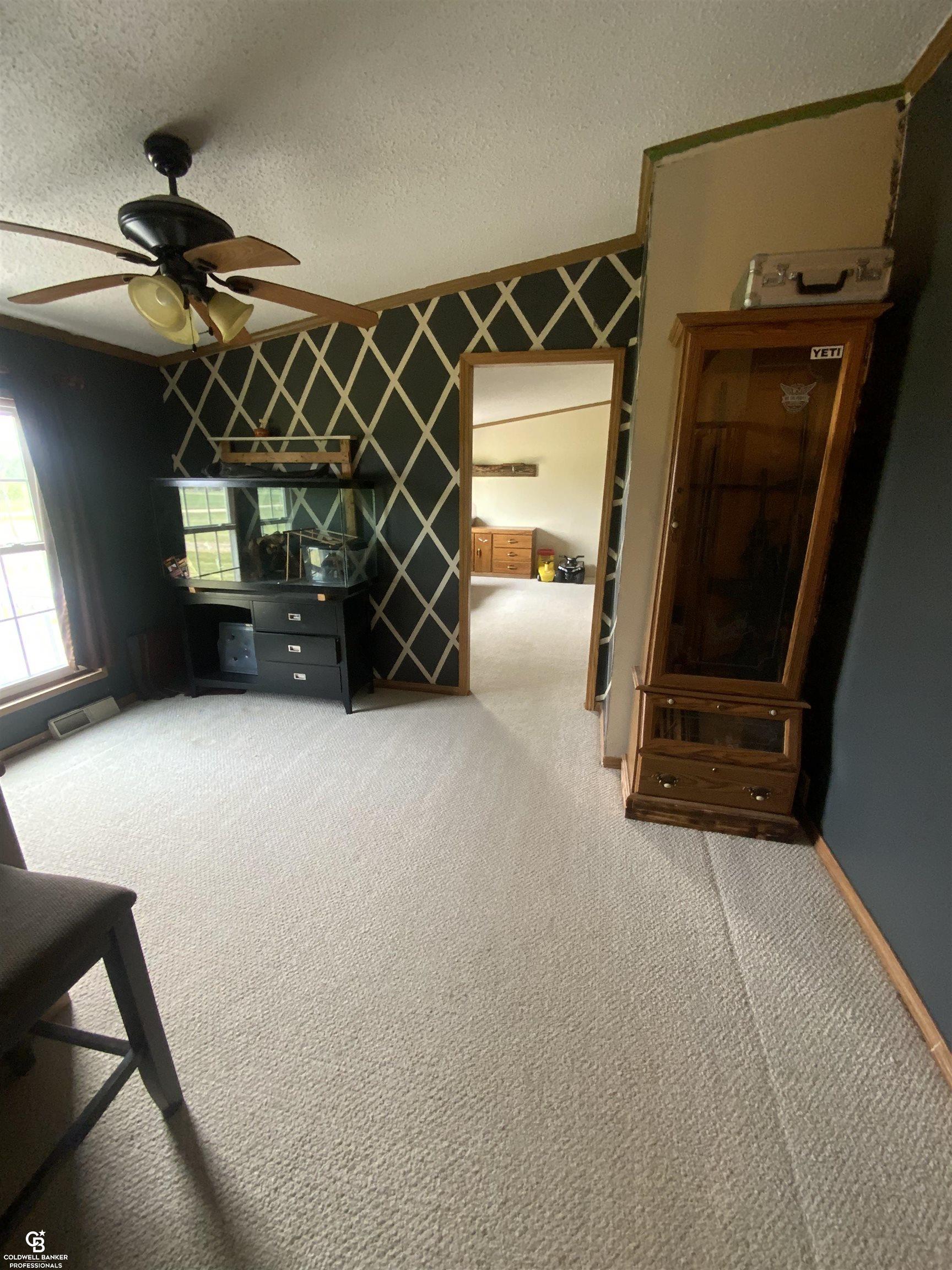 3668 Burns Line Road Croswell, MI 48422 - Photo 14 of 39 50111171-13.JPG