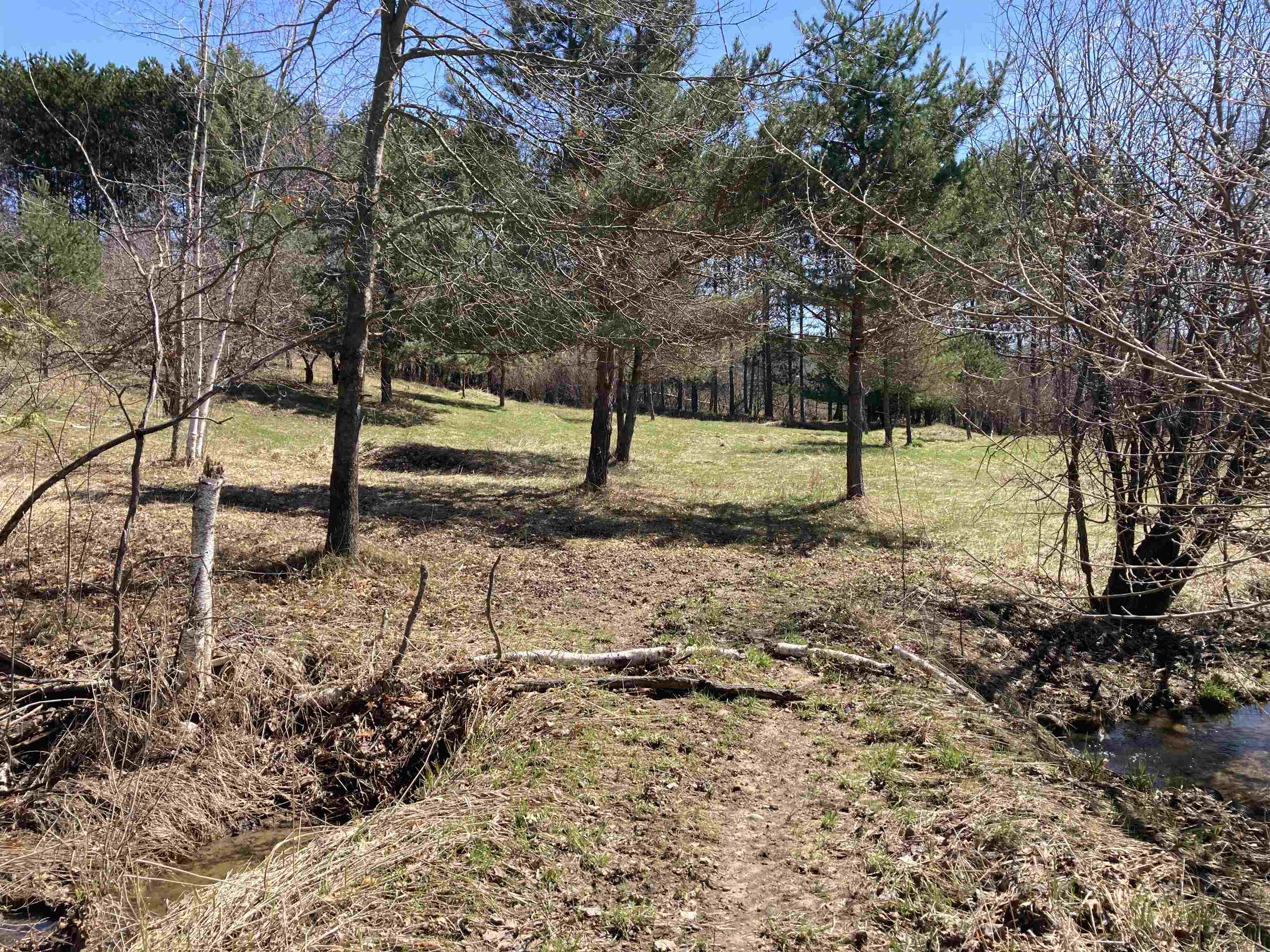 3450 Reasner Road Rose City, MI 48654 - Photo 17 of 87