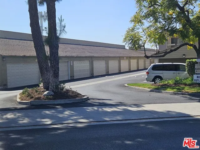 a view of a backyard with plants and trees