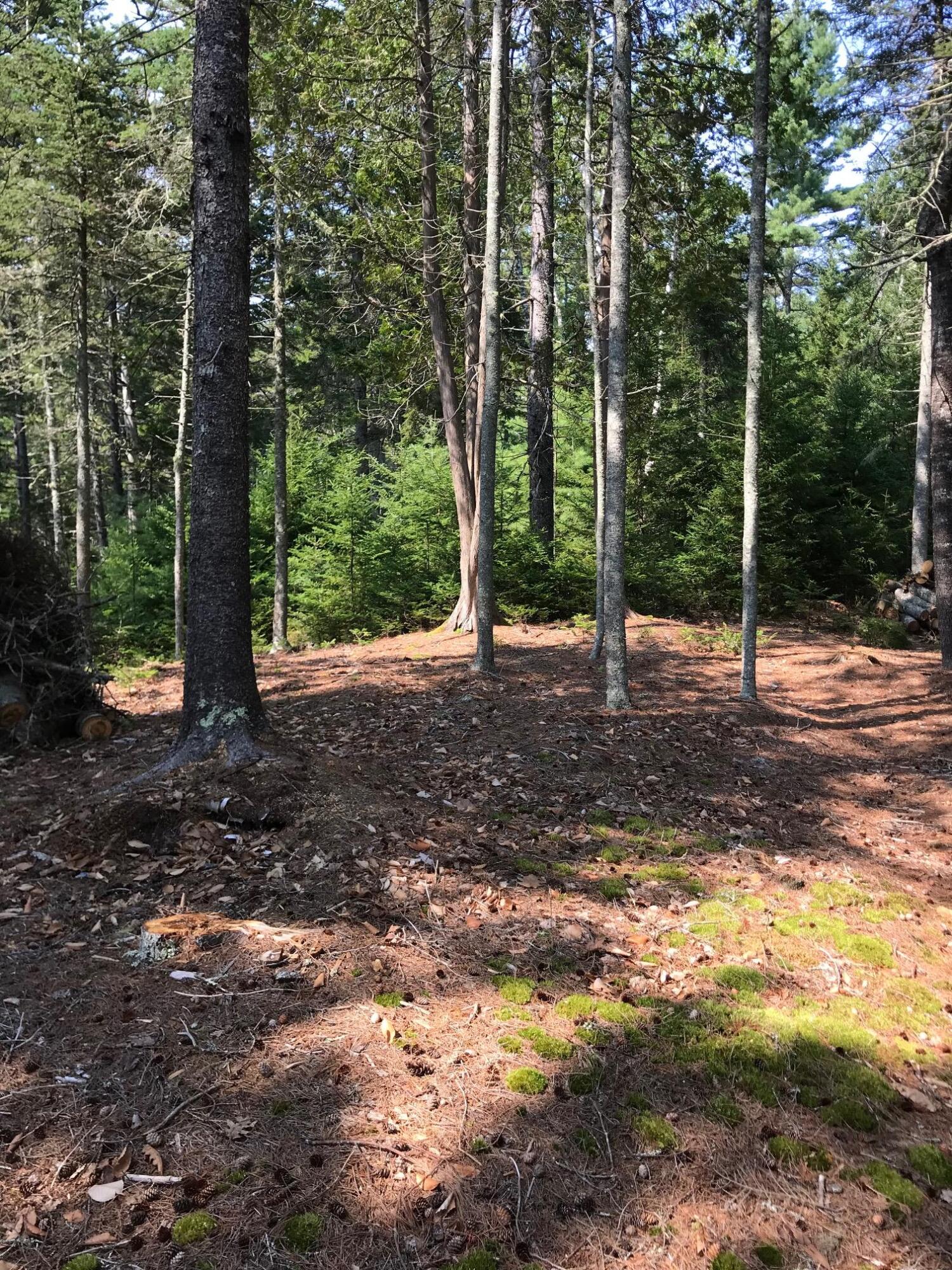 87 Ocean House Road Sullivan, ME 04664 - Photo 5 of 11 IMG_8406