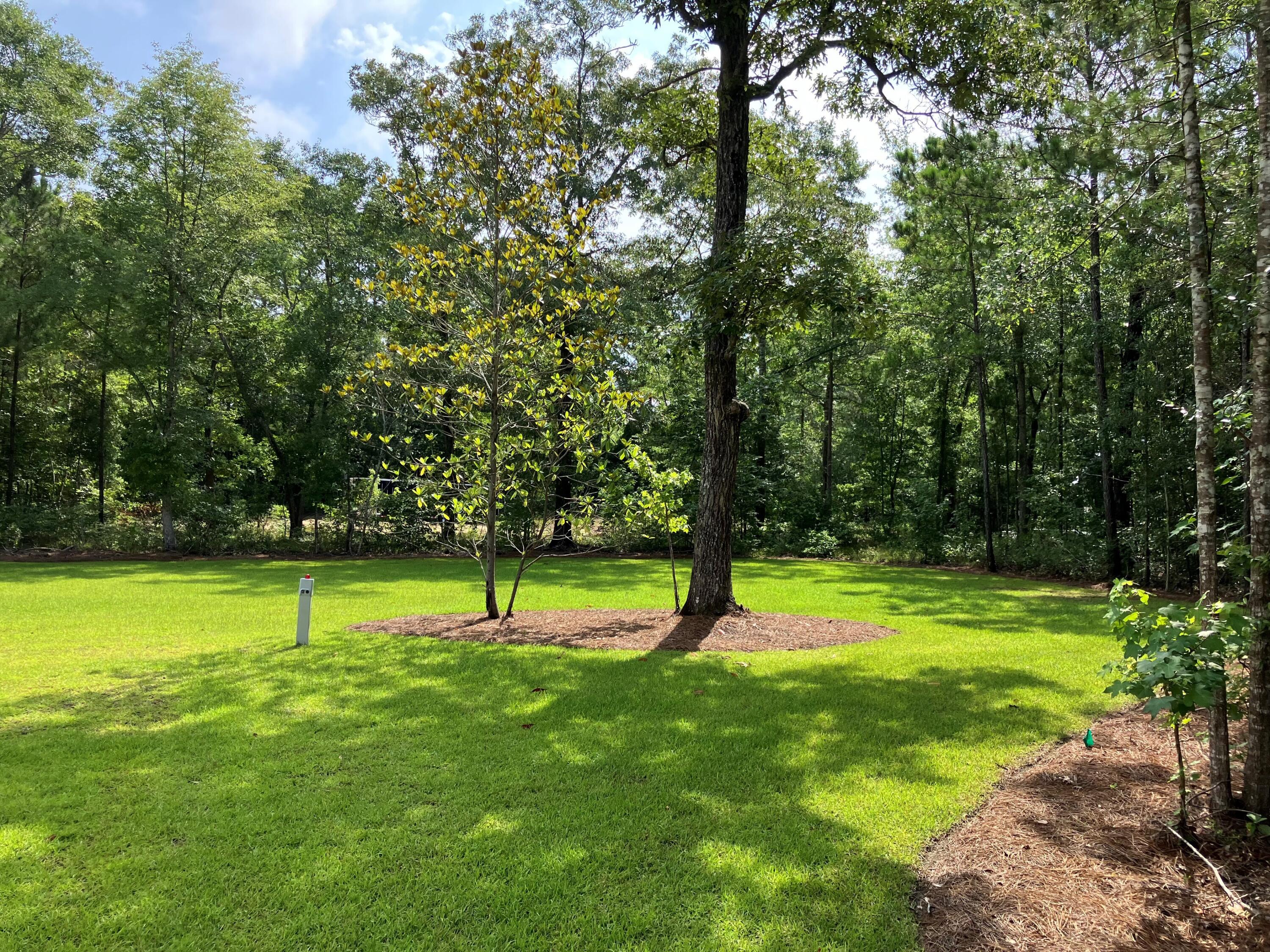 1000 Awendaw Lakes Boulevard Awendaw, SC 29429 - Photo 4 of 12 A6