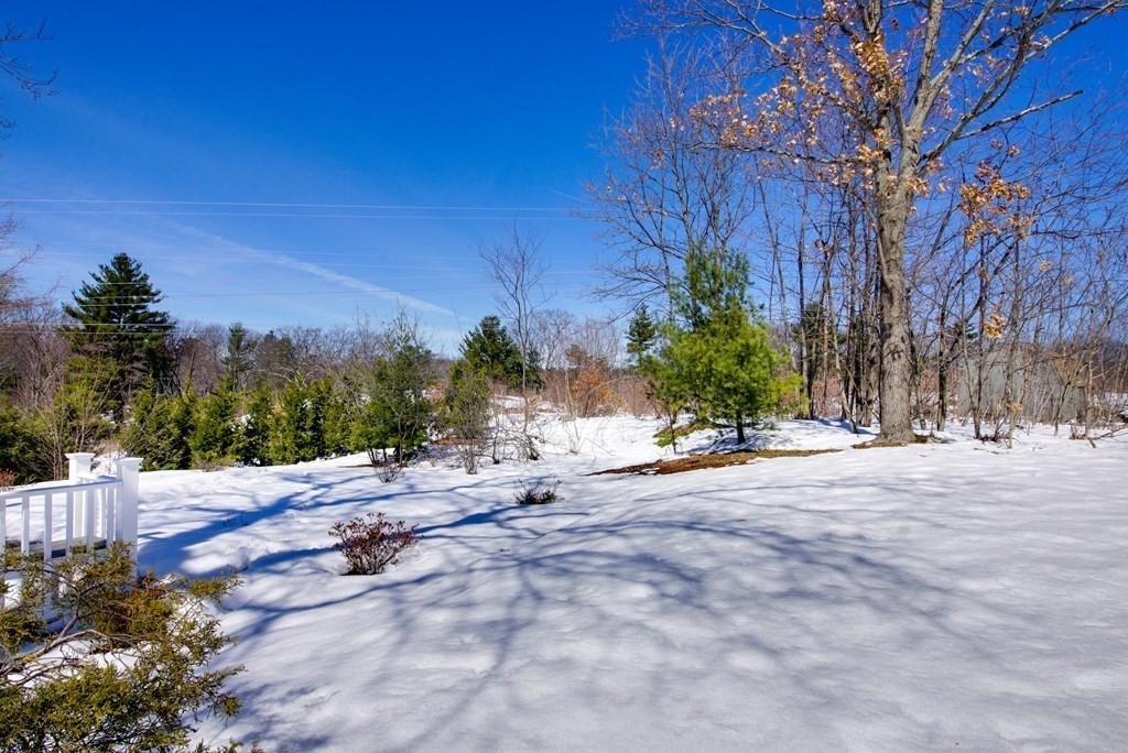 39 Locust Street Burlington, MA 01803 - Photo 25 of 27 a view of a tree with a yard