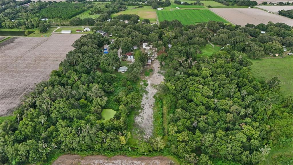 2102 Sydney Dover Road Dover, FL 33527 - Photo 2 of 38