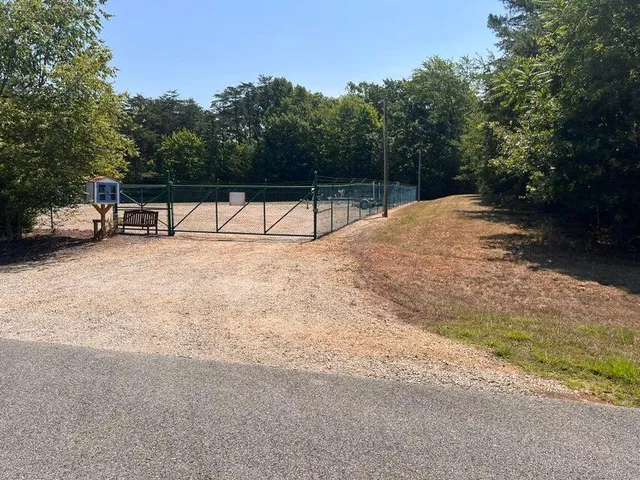 a view of backyard with large trees