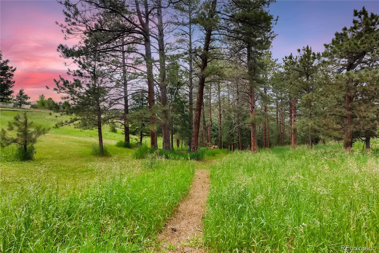 57 Lookout Mountain Road Golden, CO 80401 - Photo 27 of 40 Gallery Image 27