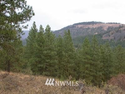 4 A Hidden Valley Road Cle Elum, WA 98922 - Photo 1 of 1 Gallery Image 1
