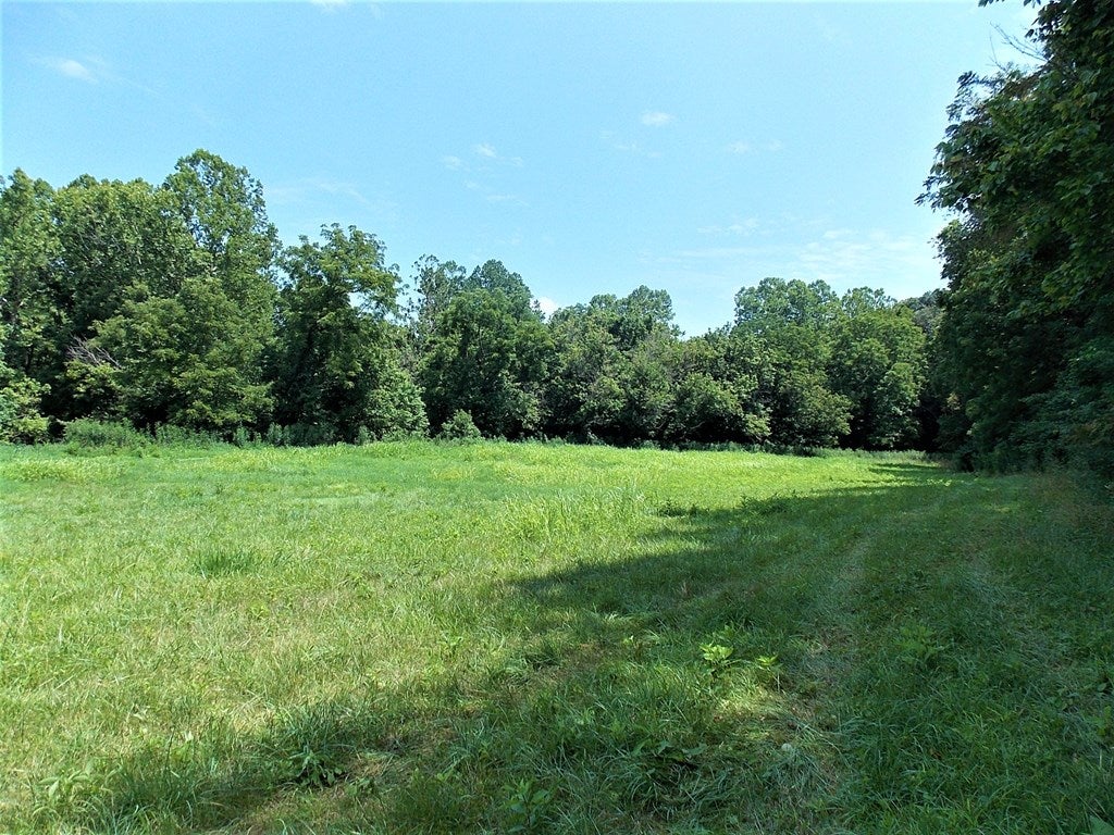 604 Lone Ash Road Barren Springs, VA 24313 - Photo 28 of 39 Gallery Image 28